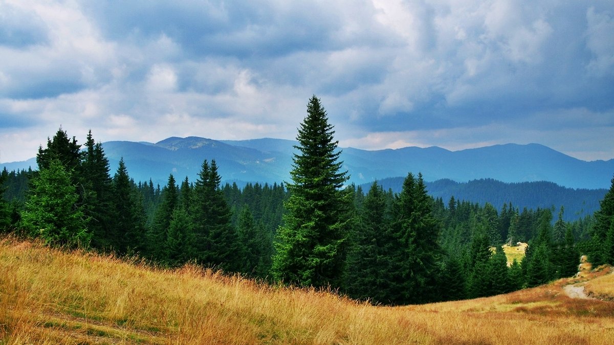 Пампорово Болгария - wea *