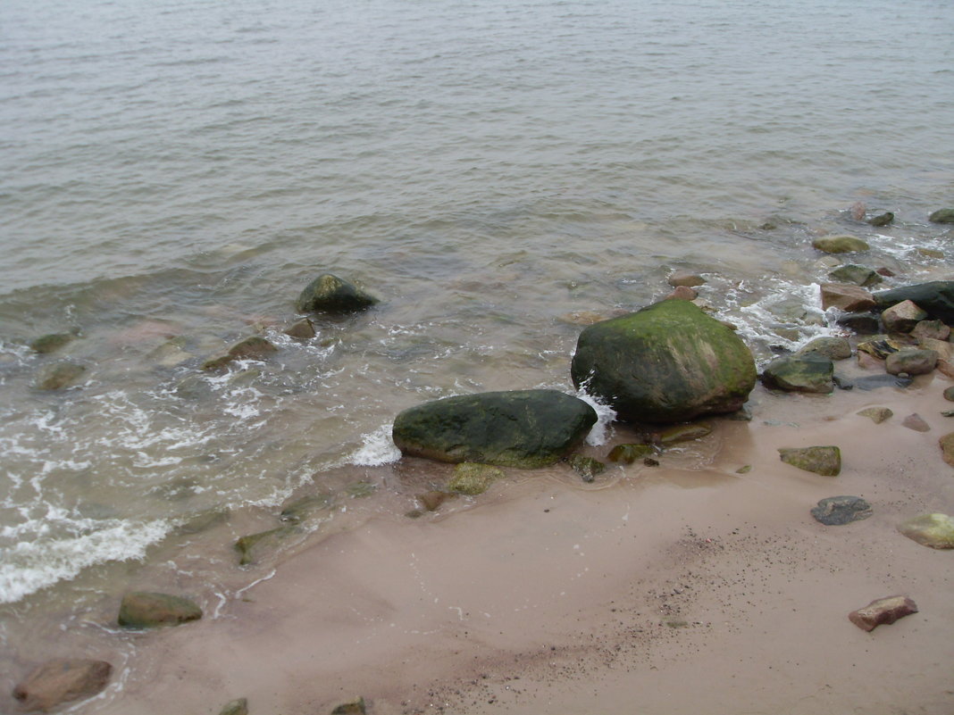 Морские "камушки" - lara461 