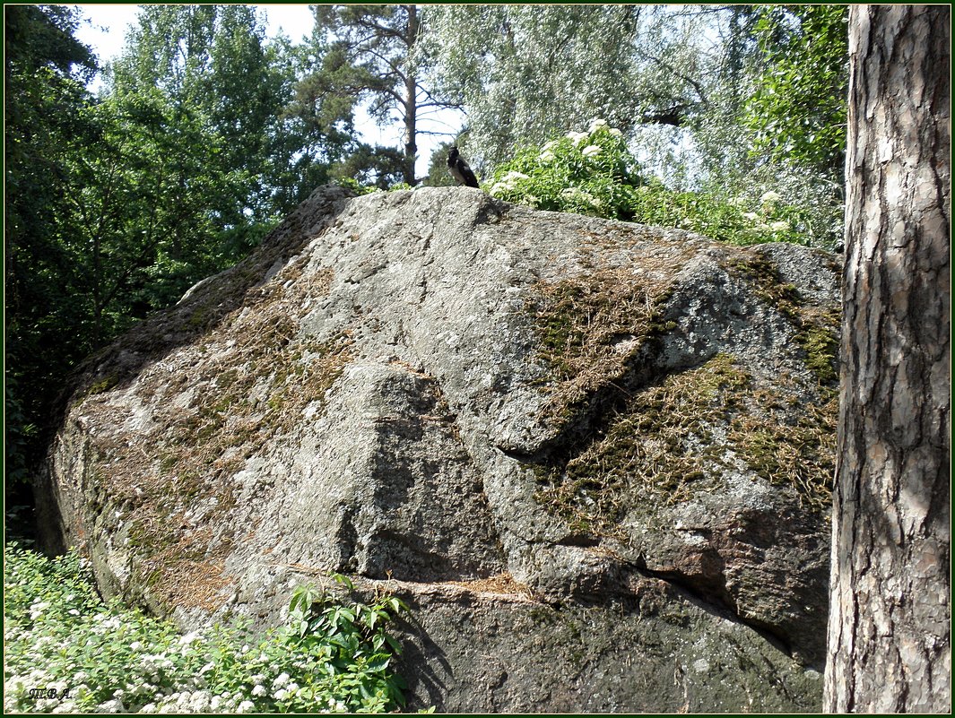 Водный парк "Сапокка" - Вера 