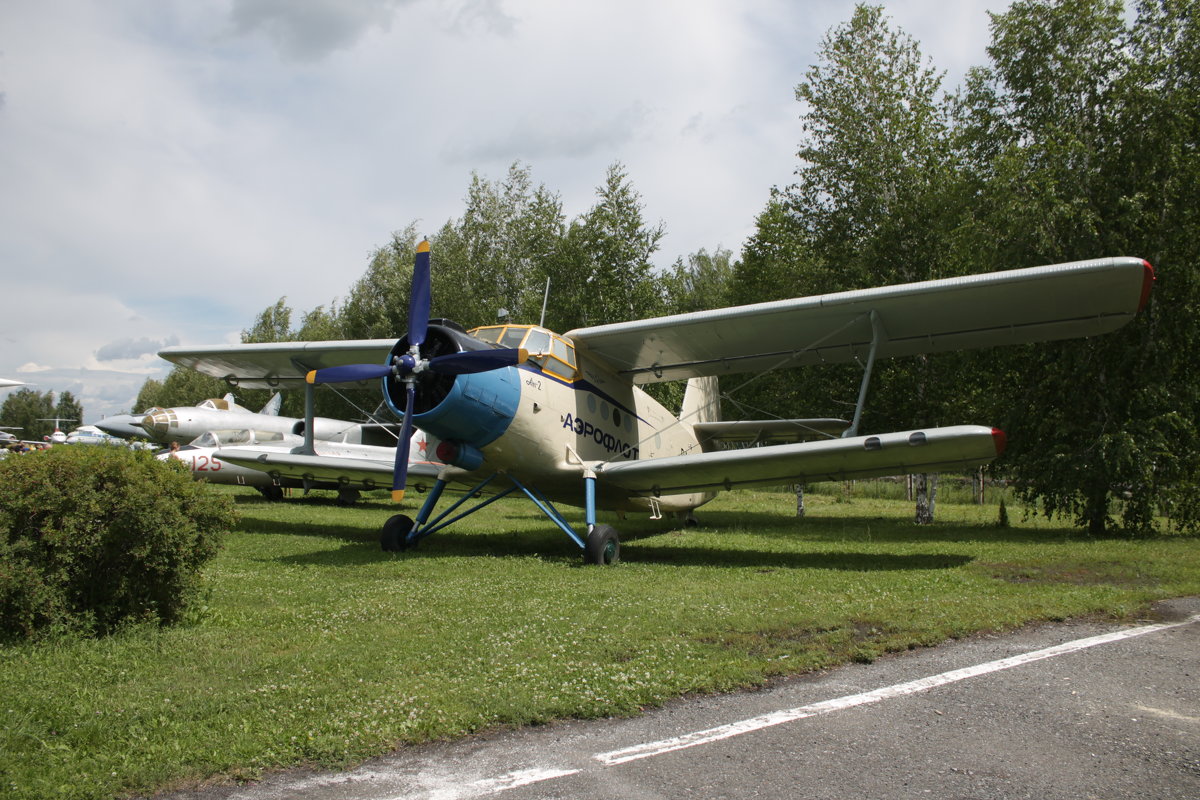 Ан-2 - Алексей Башкирцов