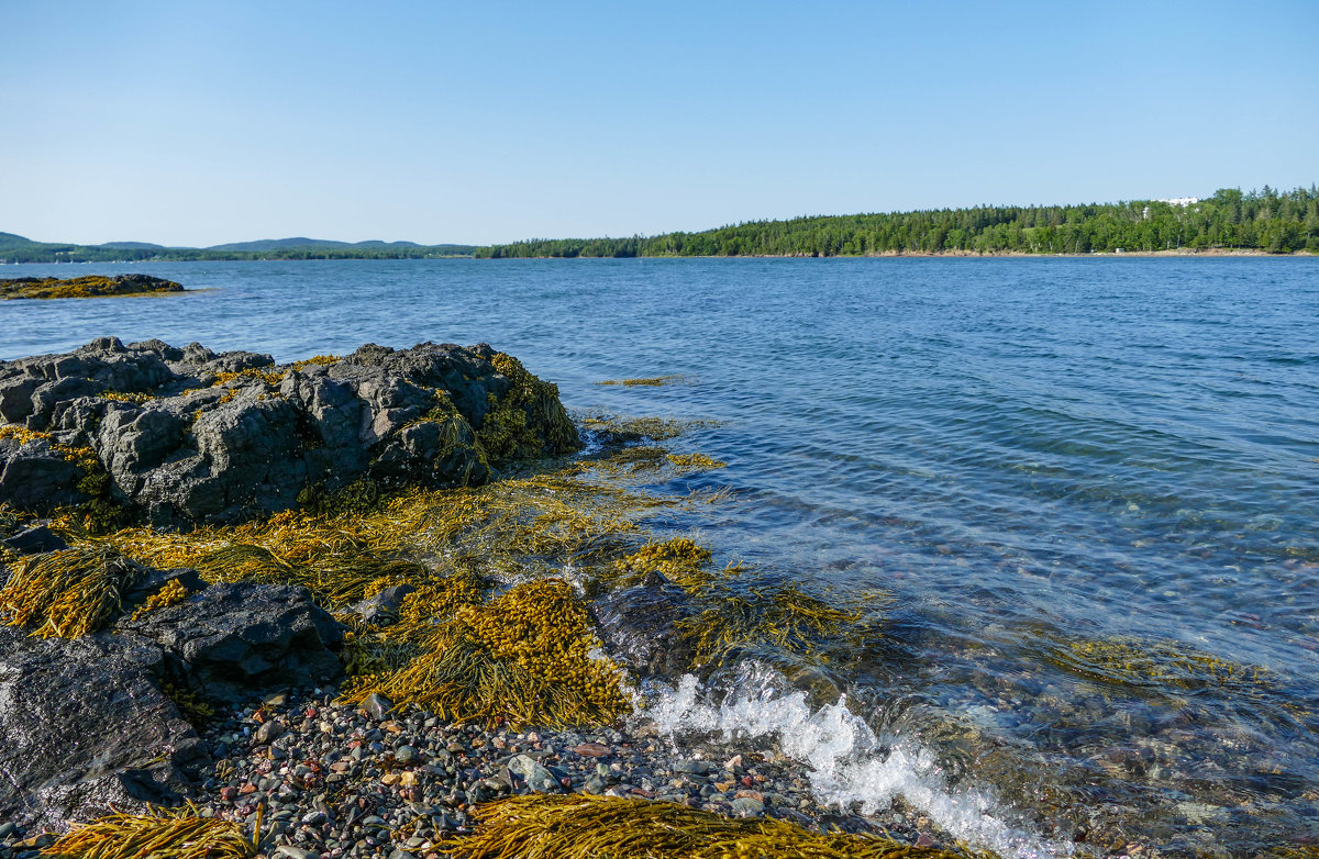 Залив Fundy во время отлива, впереди остров (New Brunswick, Canada) - Юрий Поляков
