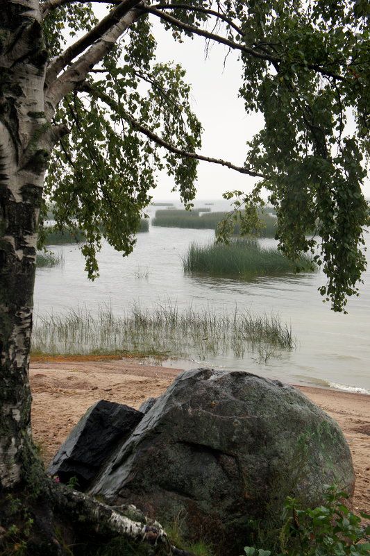 Ледниковый валун “Морской” на пляже в Мартышкино  (Мартышкинский валун) - Елена Павлова (Смолова)