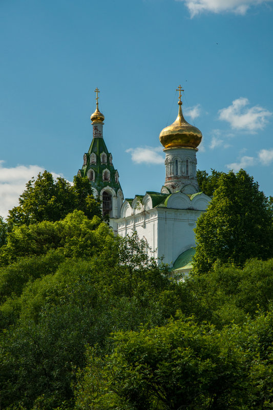 Спасский собор в Бужарово - Alexander Petrukhin 