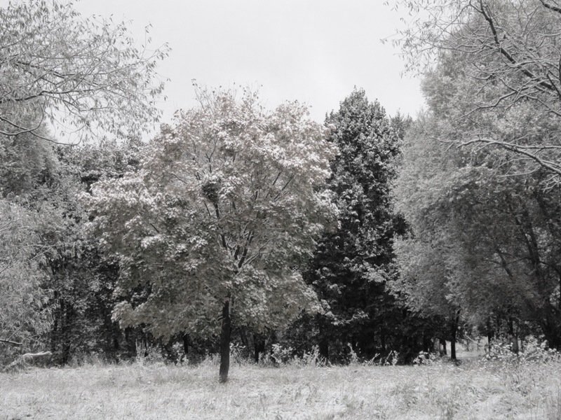 9 октября 2015 года. Первый день зимы - Дмитрий Никитин