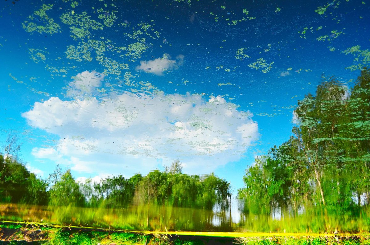 Облака в реке - Андрей Щетинин