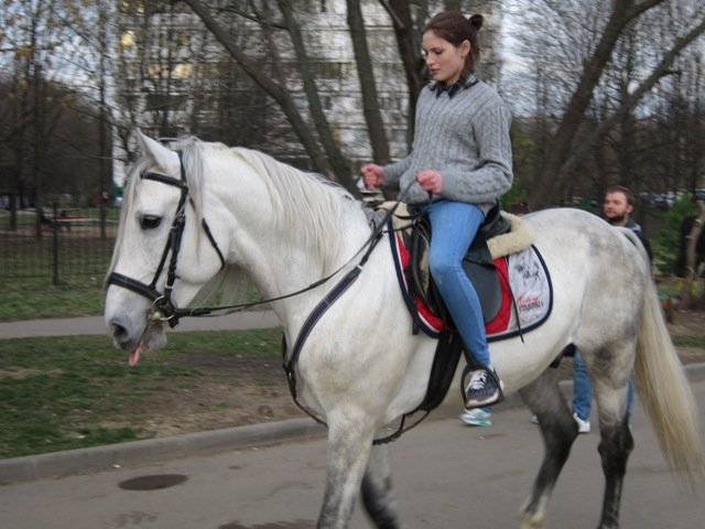 На белом коне - Дмитрий Никитин