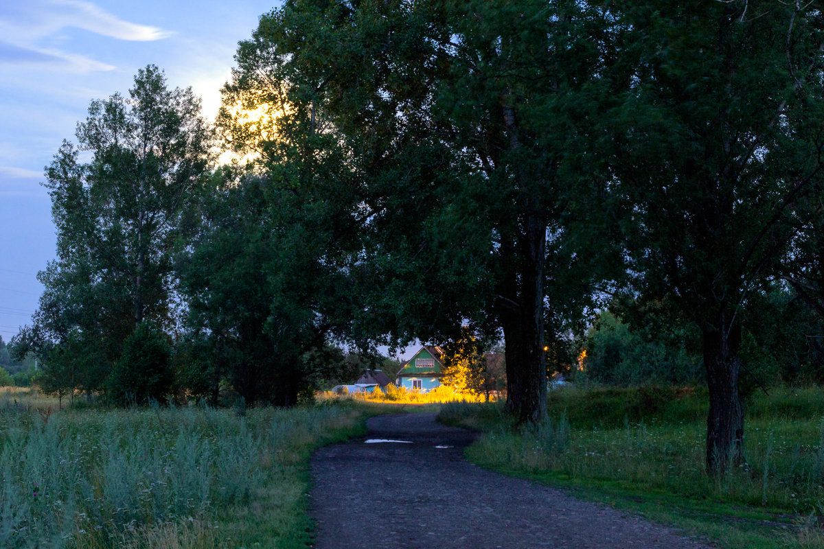 Щебечут птицы после сна, а за ветвями прячется луна. - Евгений Голубев