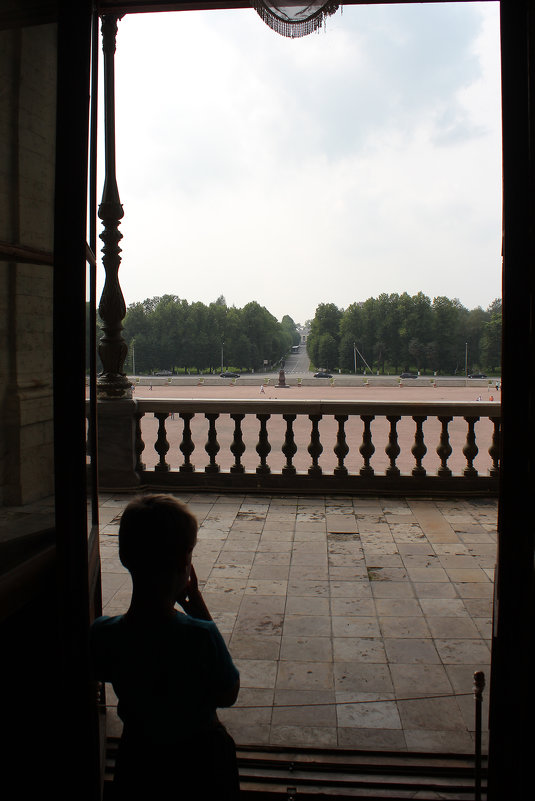 Взгляд из дворца - Татьяна Гузева