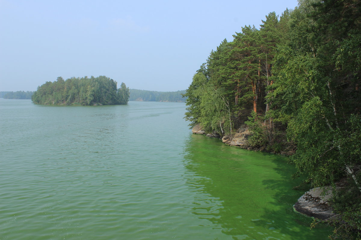 Зелёная вода-озеро цветёт. - Тыртышных Светлана 