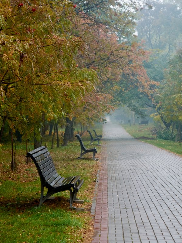 Осень в парке - Владимир 