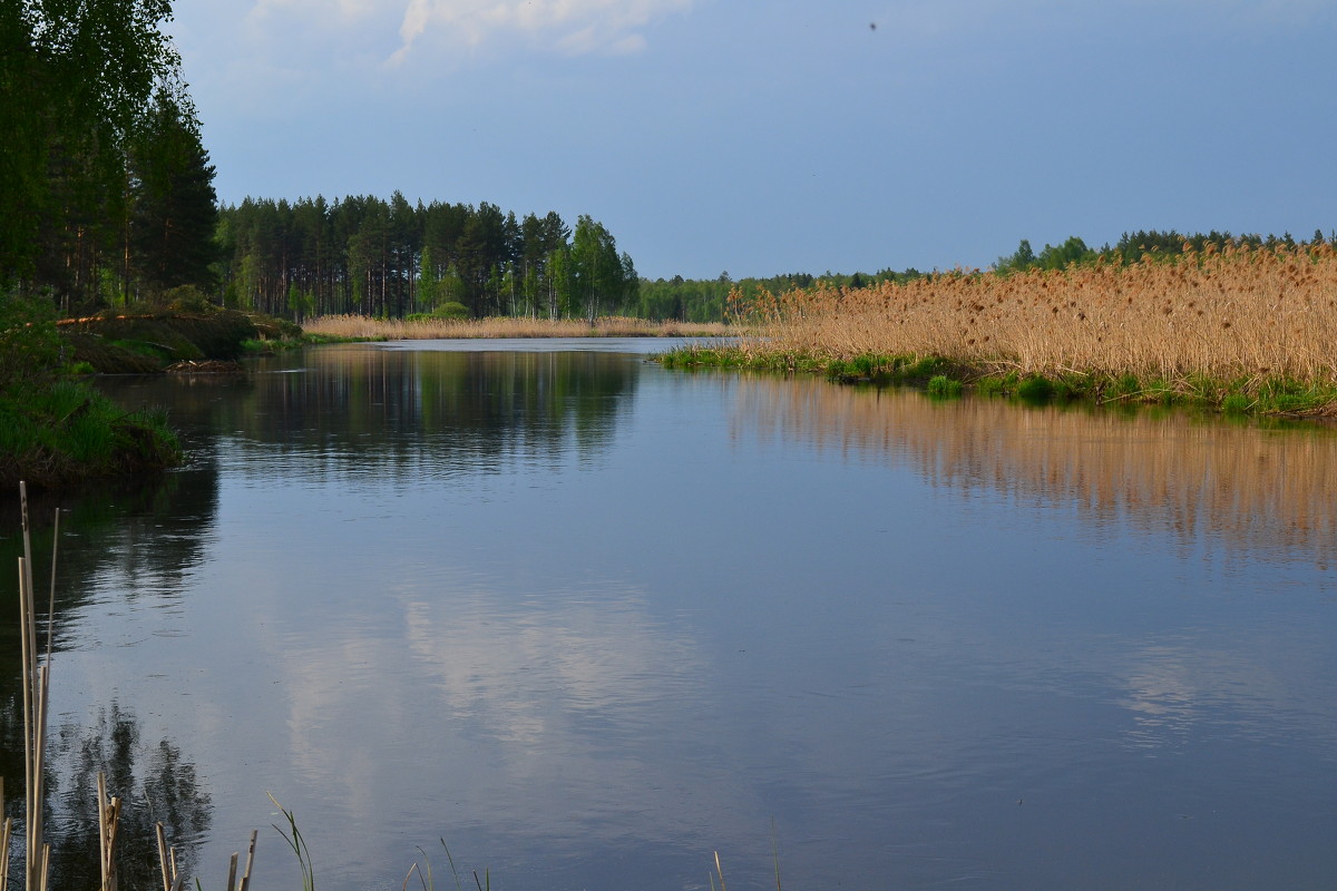 река Нерль - Александръ Морозовъ