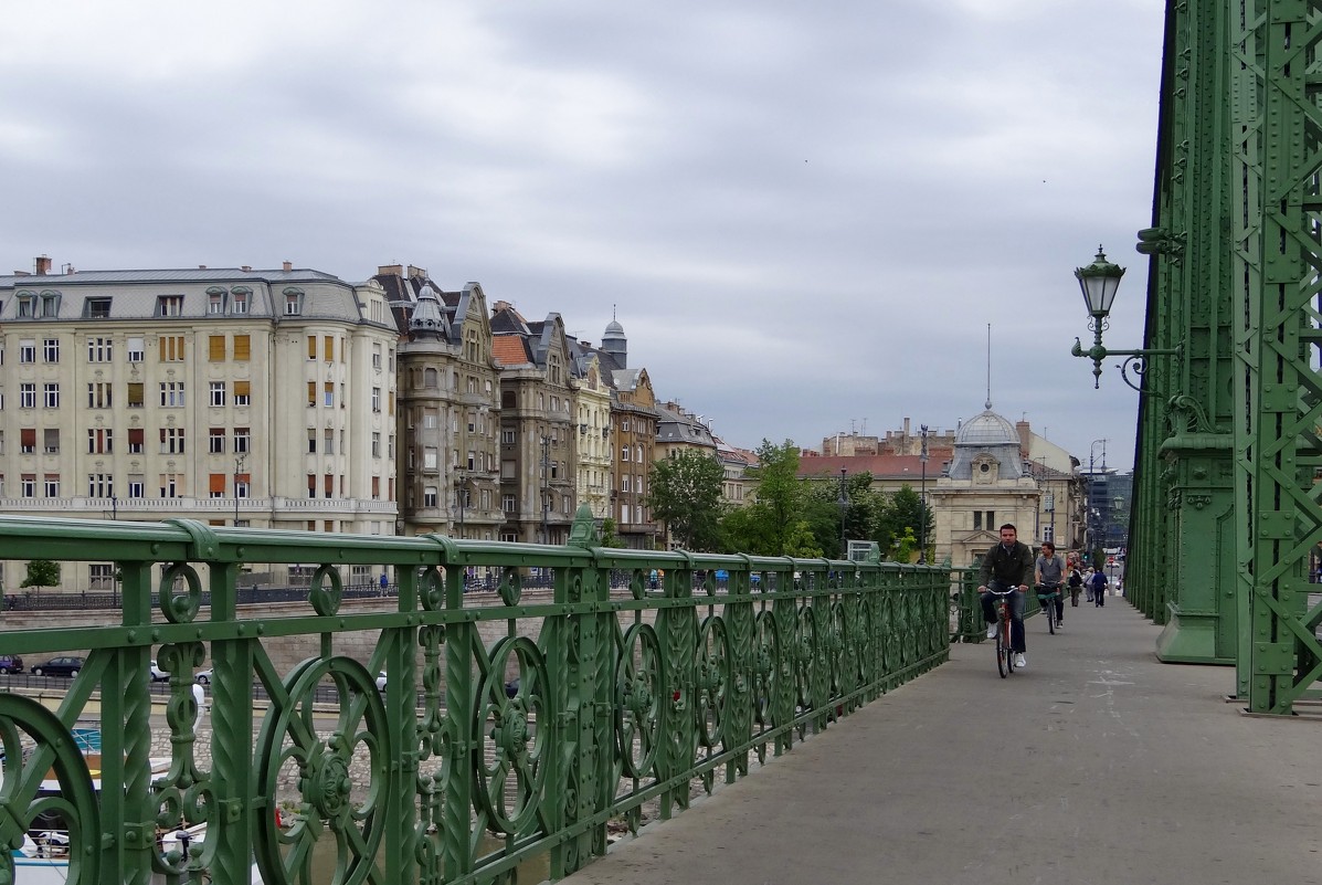 Зелёный мост  "Свободы" в Будапеште. - Ольга 