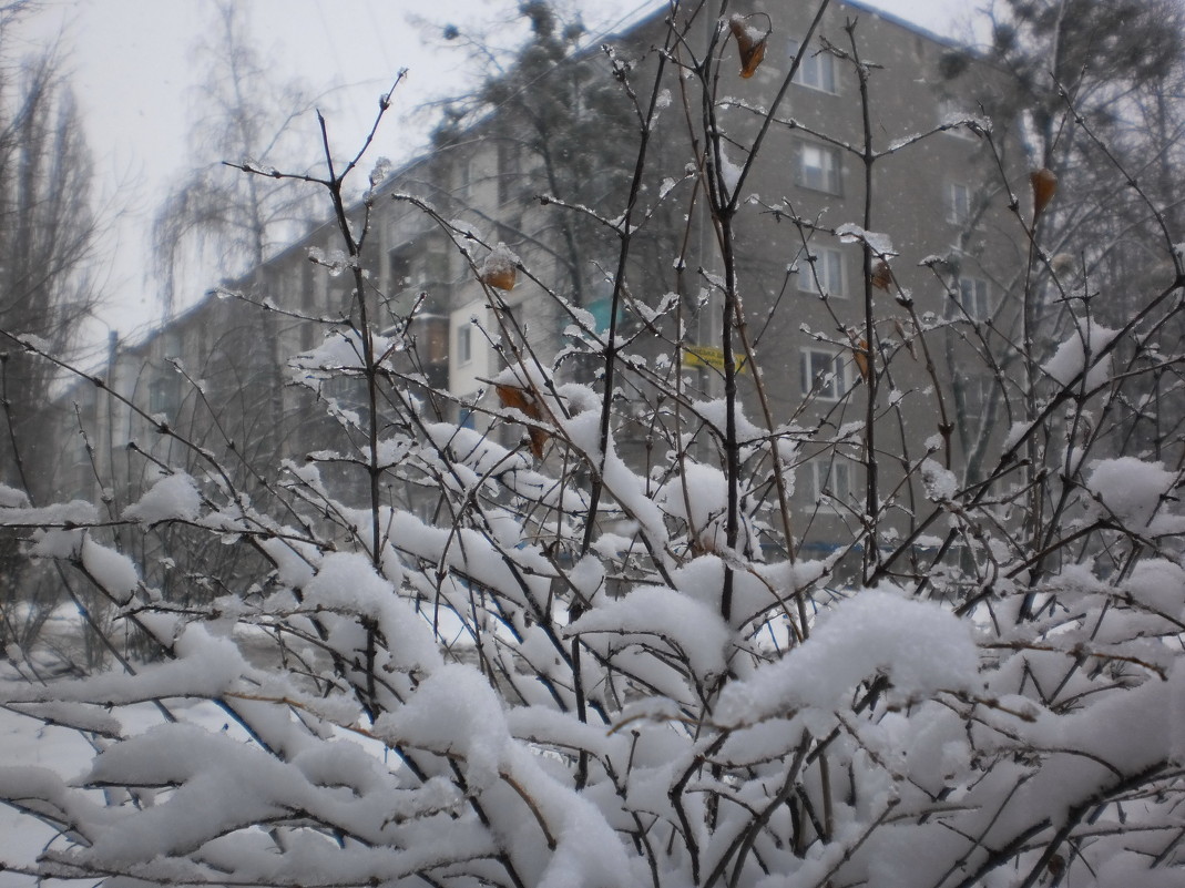 В марте снова выпал снег... - Наталья Тимошенко