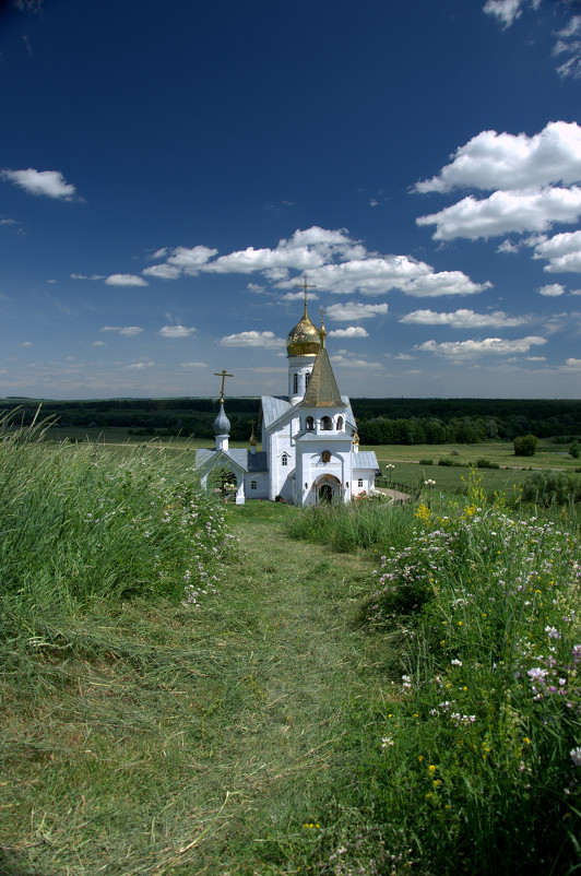 Холки - Настенька Пшеничная