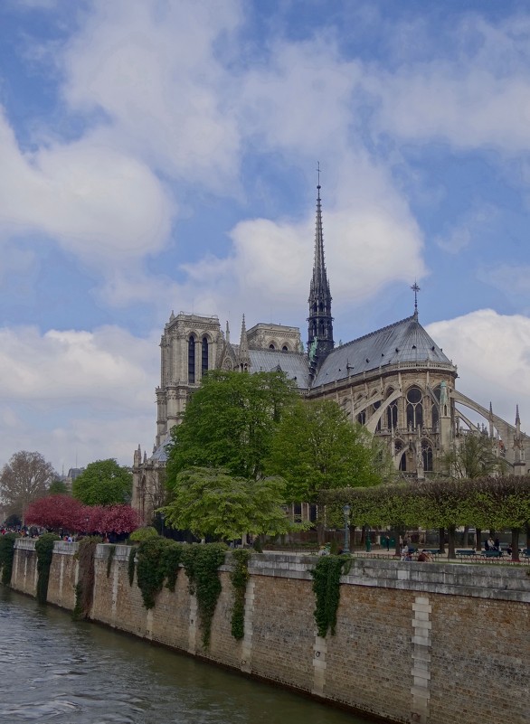 Notre Dame de Paris. - Ольга 