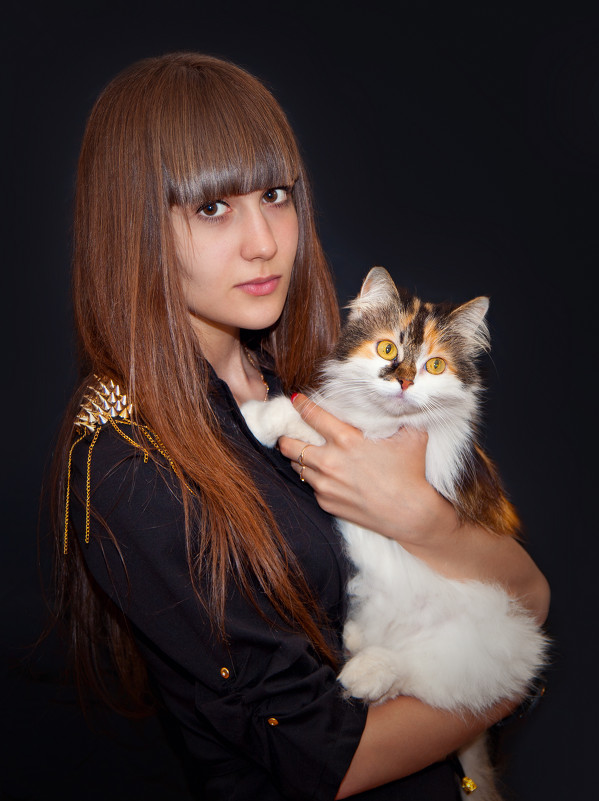 Котик ты мой котик, мягонький животик - Елена Комарова