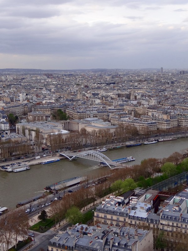 Вид на Париж с башни Эйфеля. - Ольга 