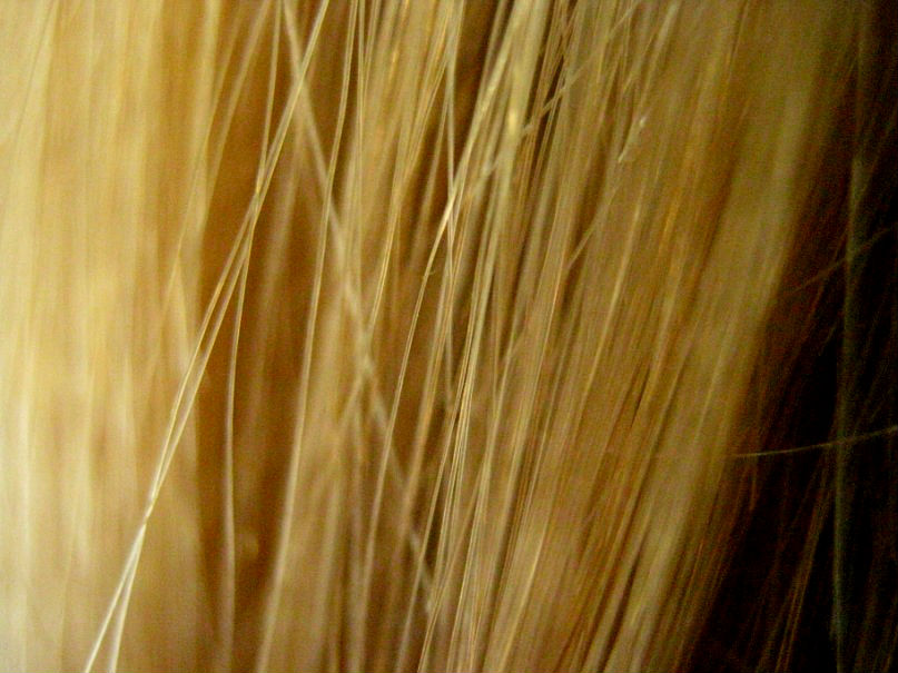Волосы(Пшеничка) - Алина Лысова
