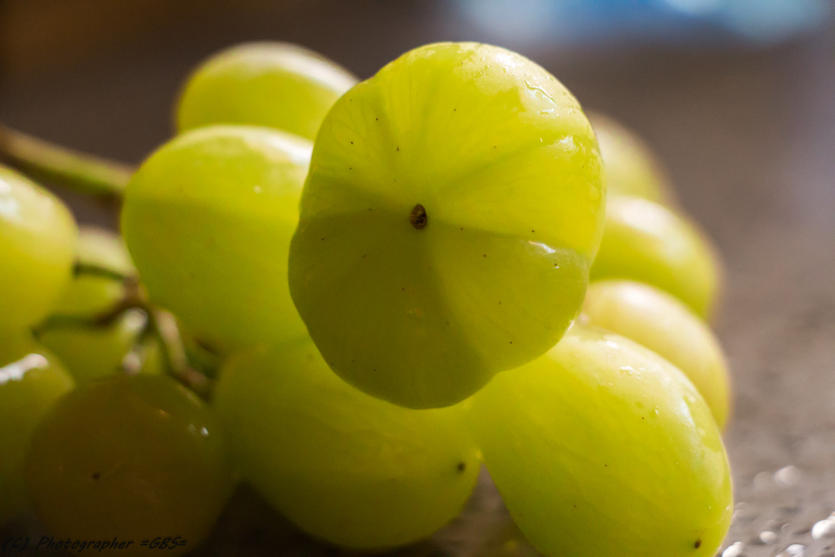 Необычный виноград - Gary Snayder