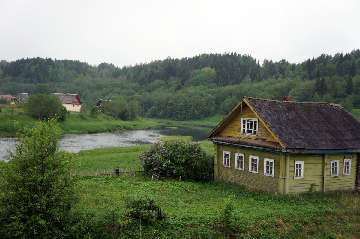 Вдоль берега р. Оять - Елена Павлова (Смолова)