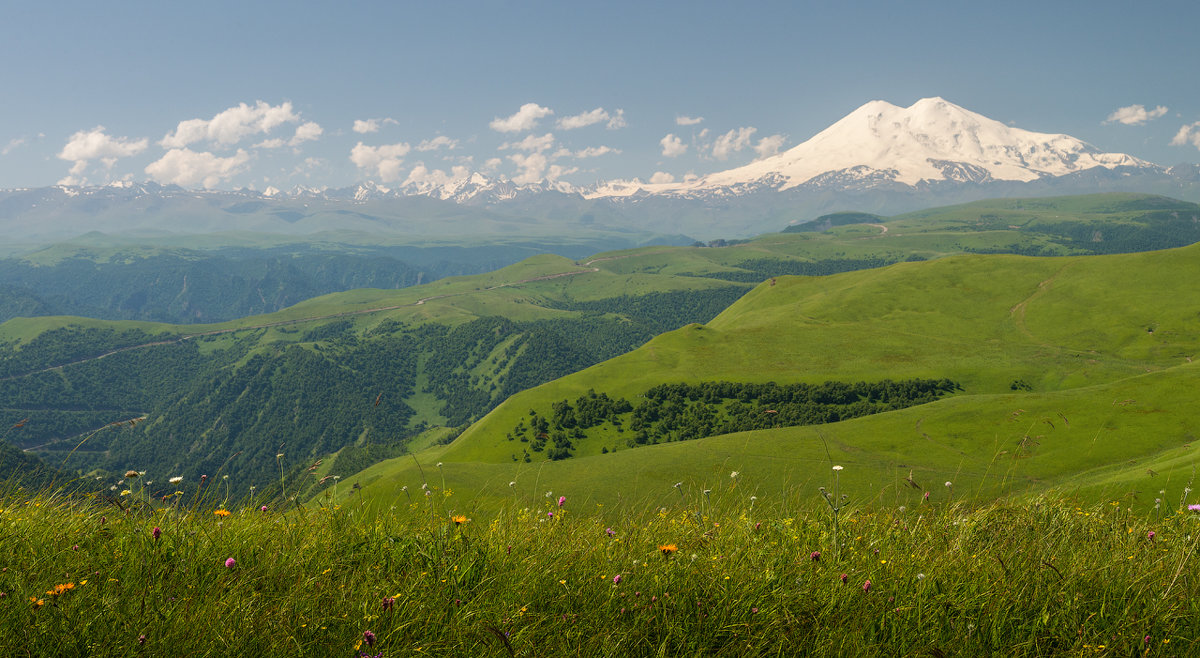 *** - Юрий Шевченко