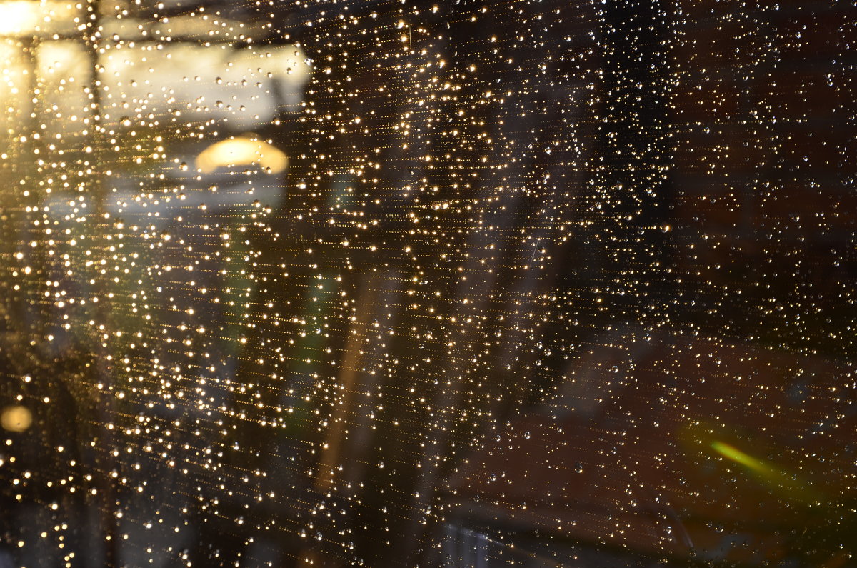 Капли дождя на стекле - Екатерина П.