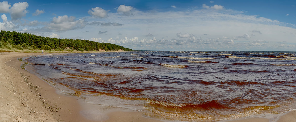 Чудское озеро, Эстония - Priv Arter