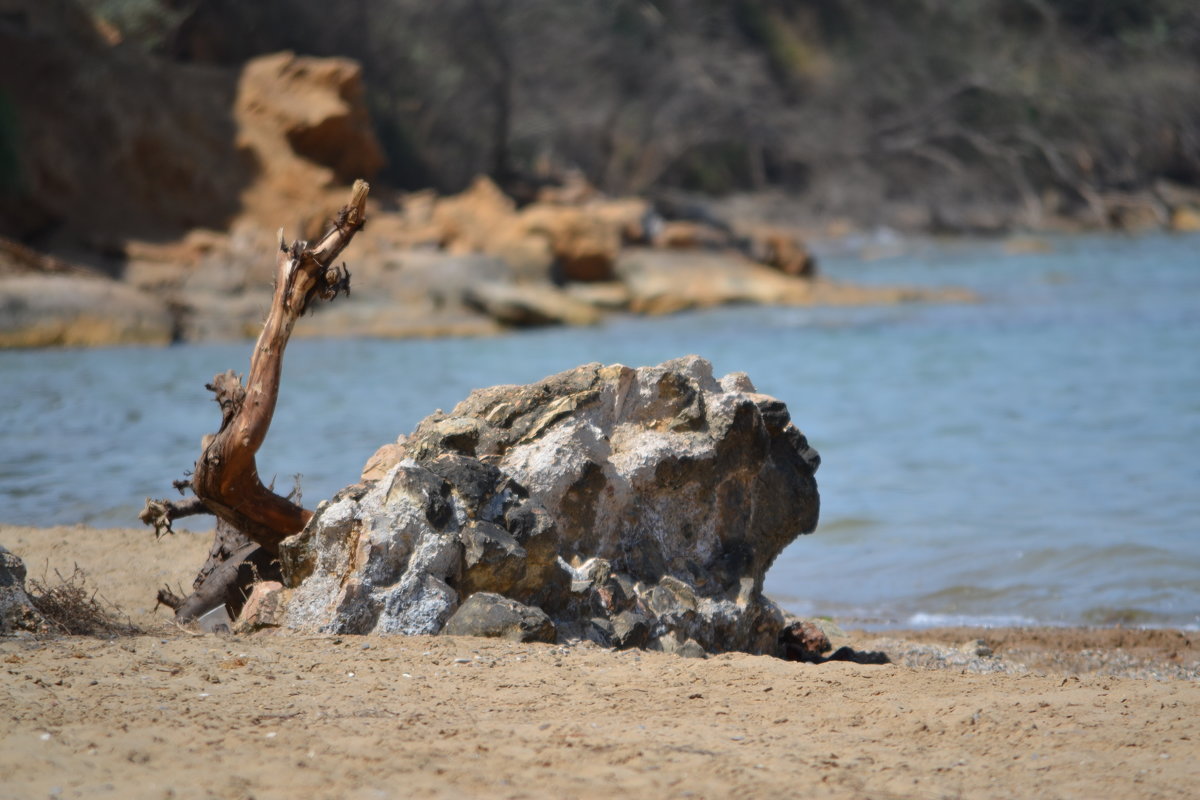 Море, песок и камень - Тамара Мадюдина