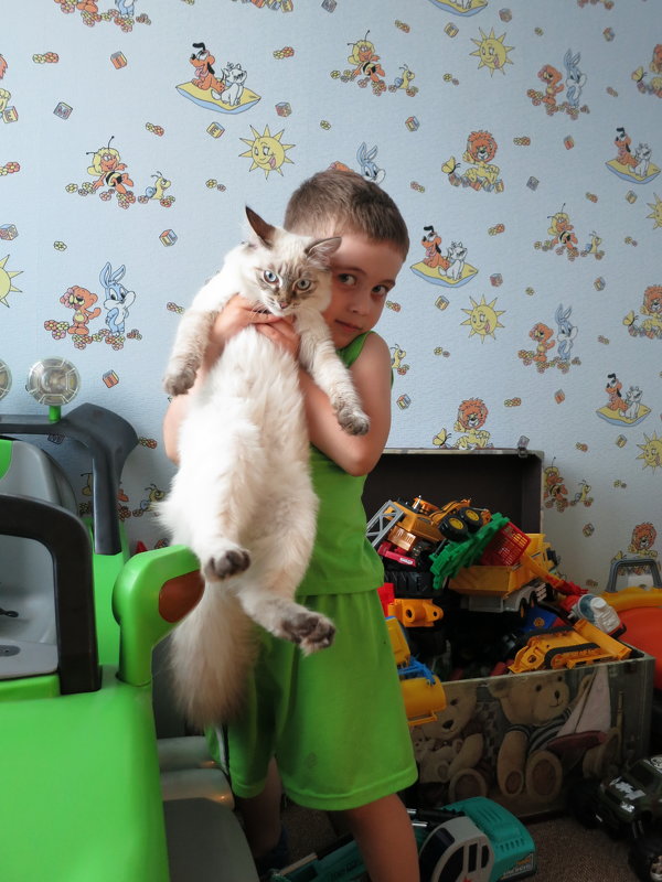 Нет хуже наказания из всех земных страстей, чем сильная любовь к котам детей... - Людмила Огнева 
