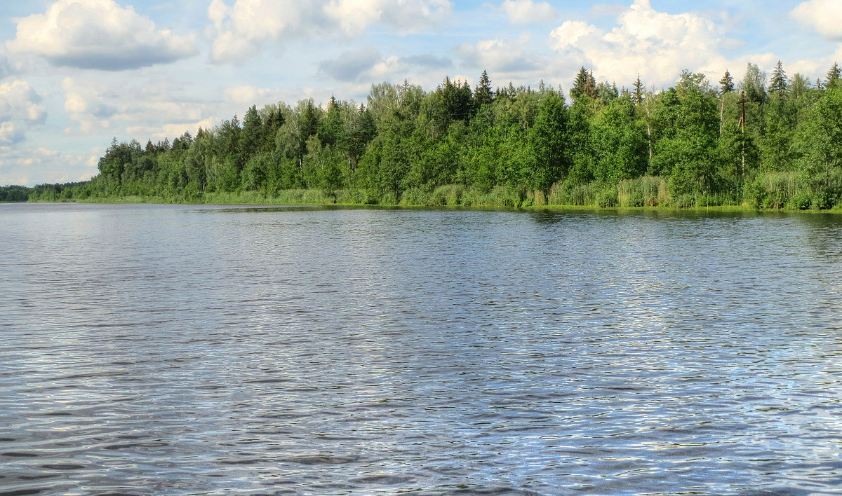 река Березина, Беларусь - Виктор _