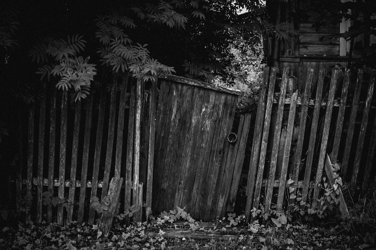 Старенький забор - Елена Яшнева