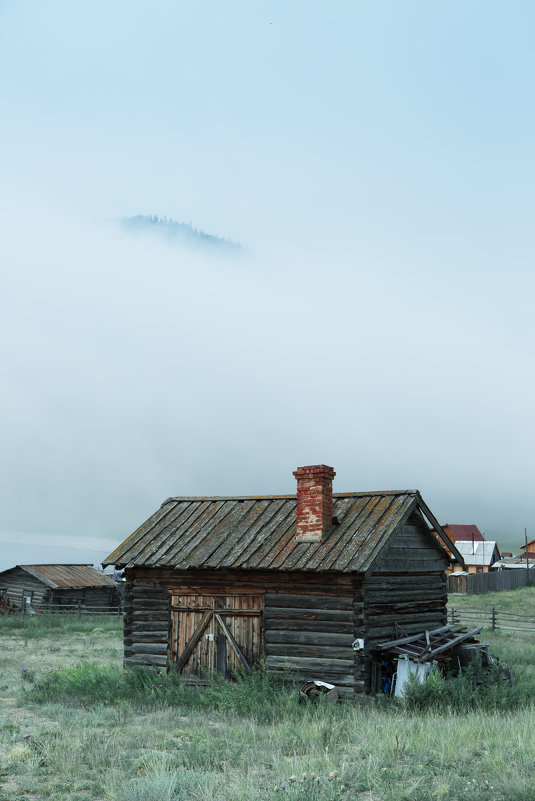 ... - Наталья Дороднова