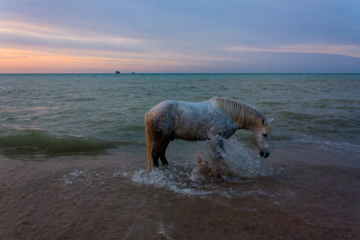 Вечер на море - Виктор Мороз