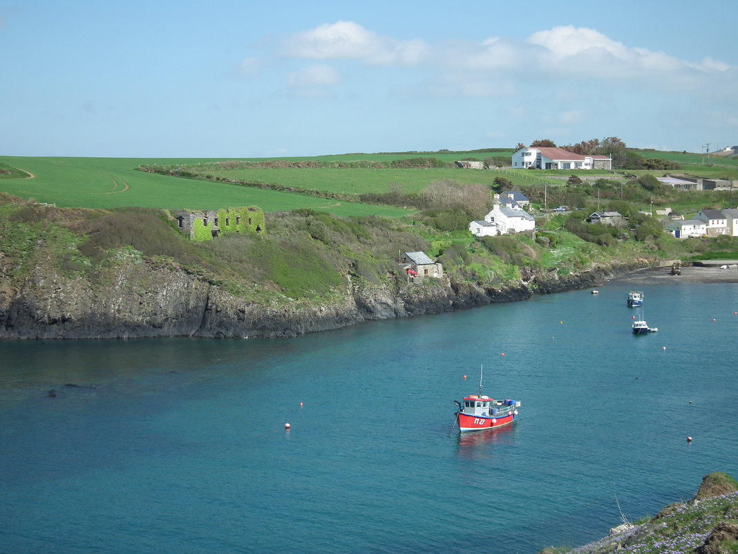 Прибрежный парк Porthgain - Natalia Harries