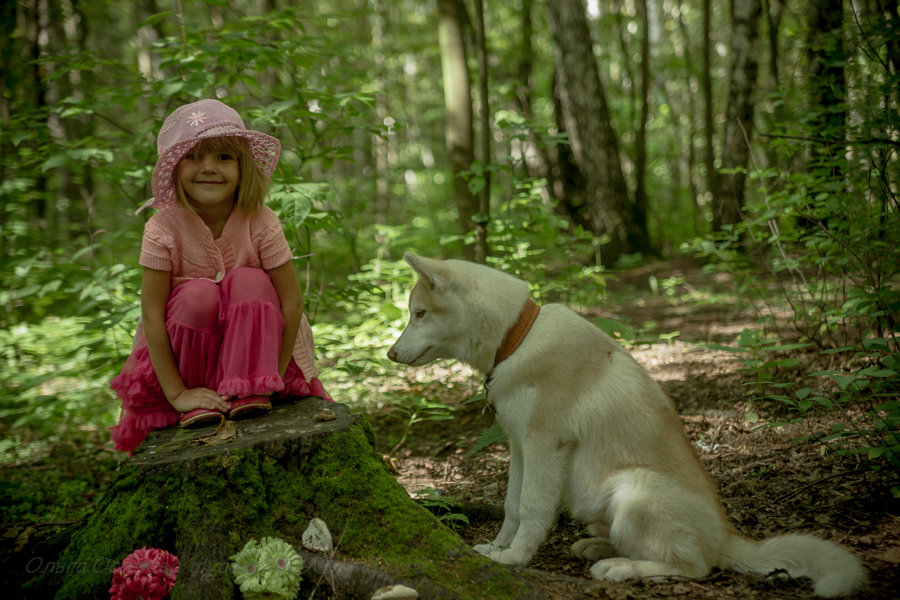 Красная шапочка и ее друг маленький волк - Ольга Осипова