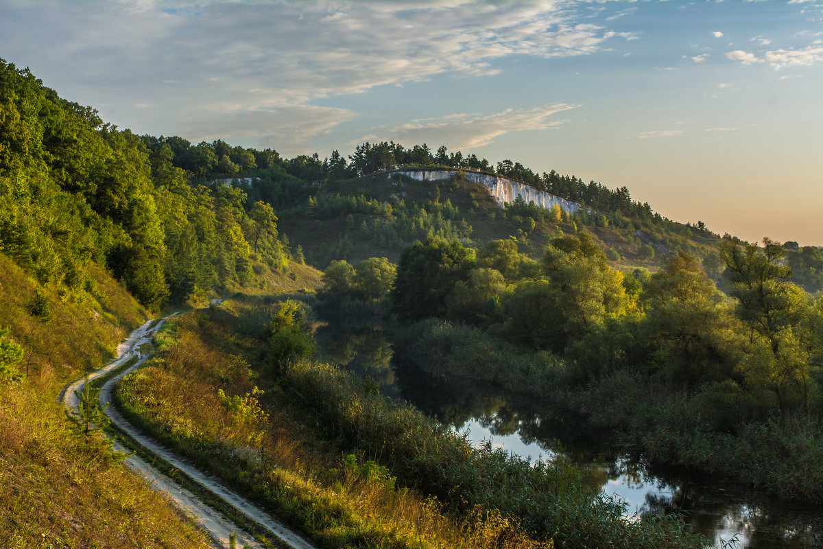 Дмитриевское городище - ALEXANDR L