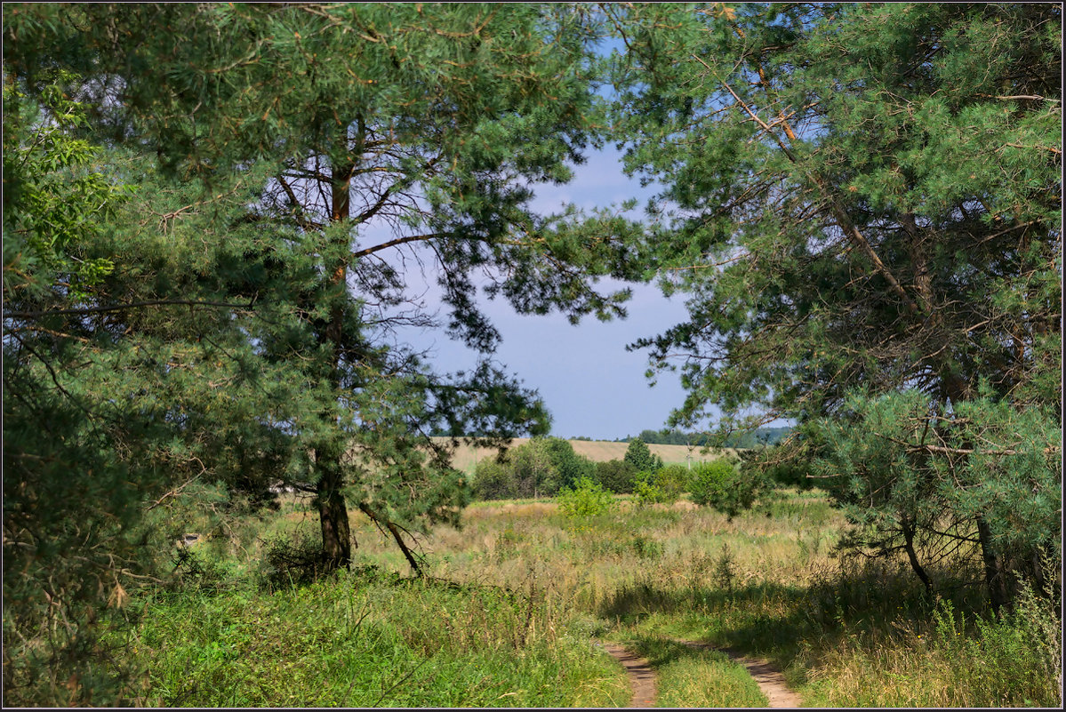 *** - Александр Лихачёв