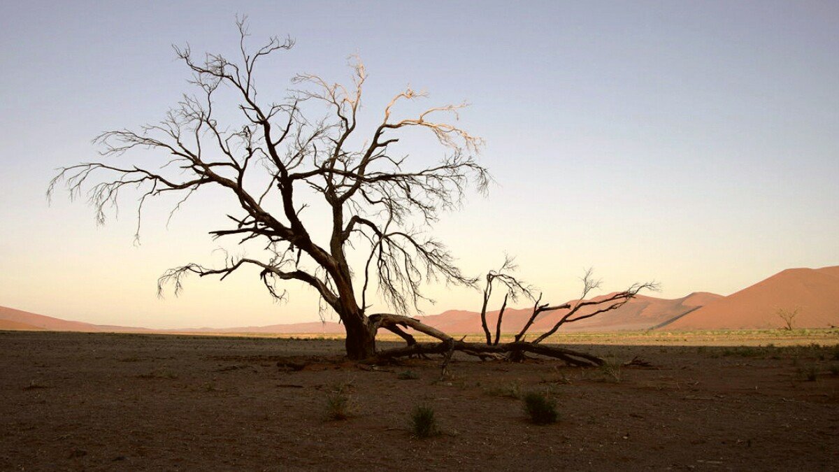 пустыня - svabboy photo
