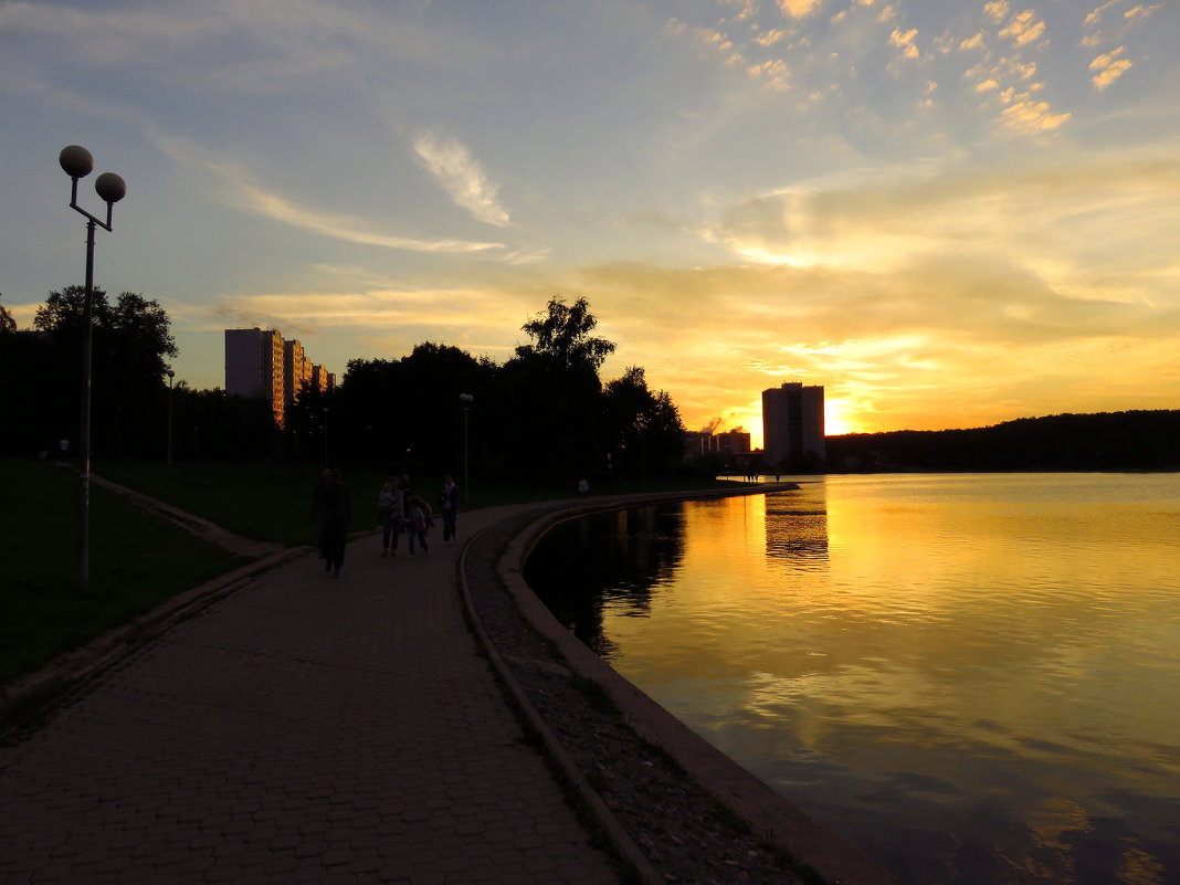 Тихий летний вечер на городском пруду - Андрей Лукьянов