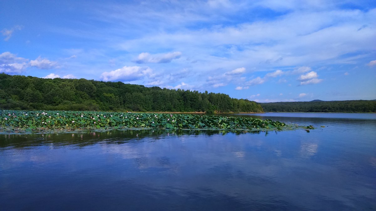 Кронштадтское водохранилище. - Татьяна Тумина