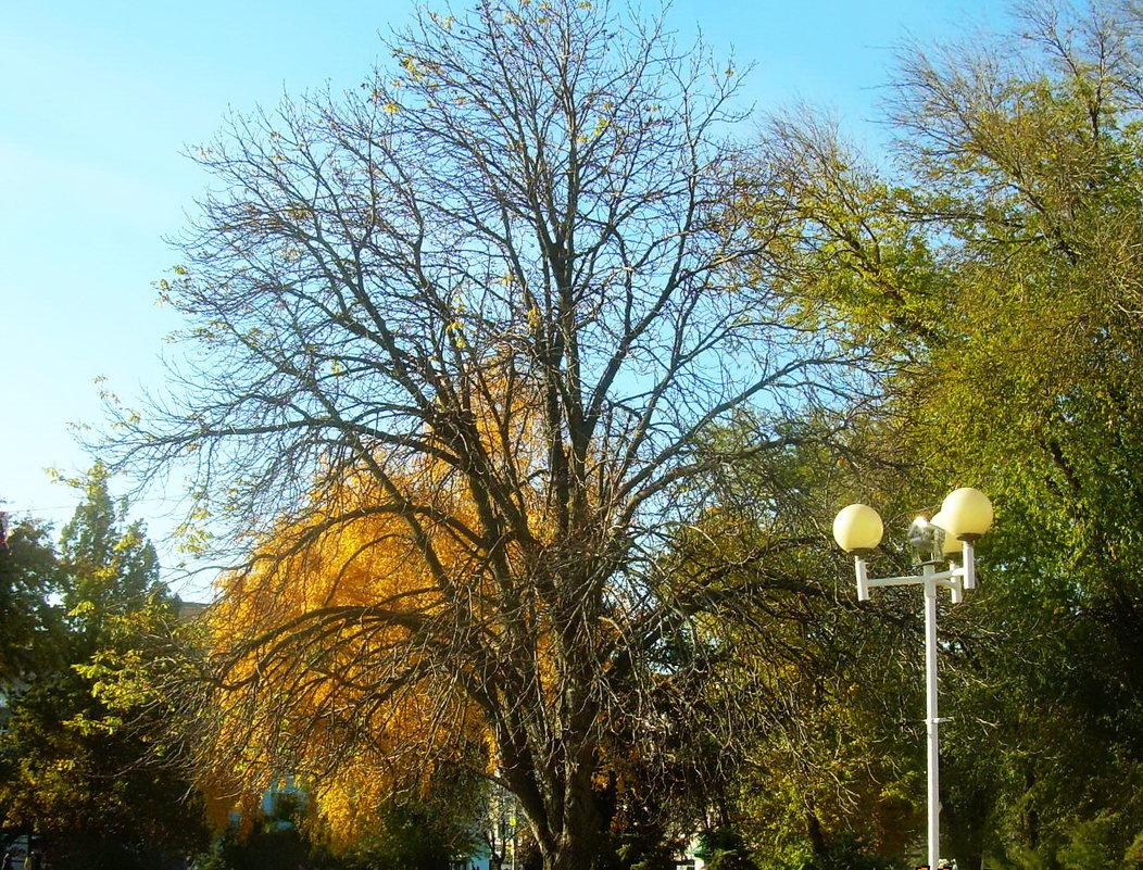 Осень в парке - татьяна 