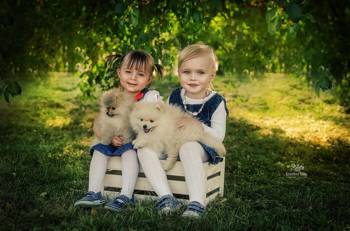 Фотосессия со щенками - Яна Краснова