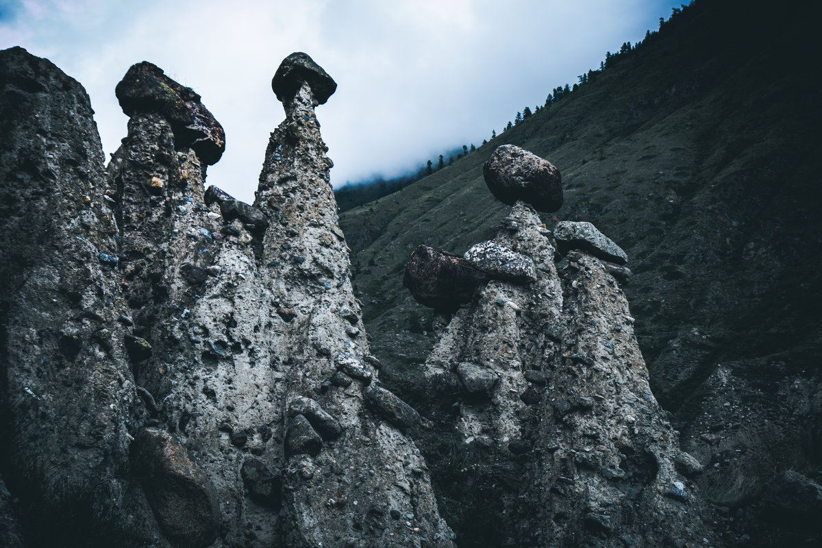 Каменные грибы - Иван Янковский