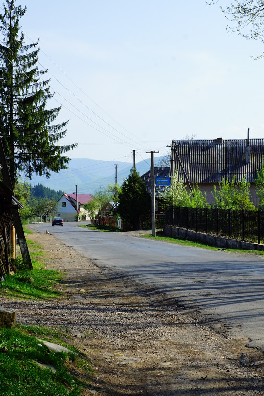 Дорога - Натали Деметер