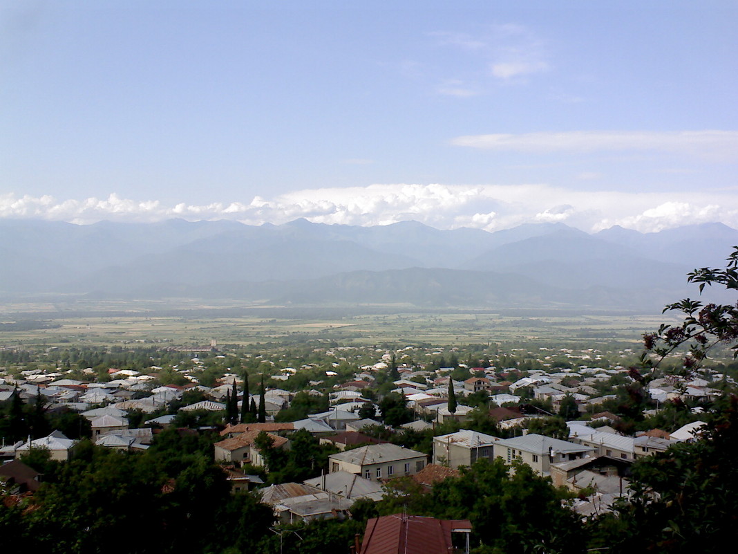 Telavi - Davit 