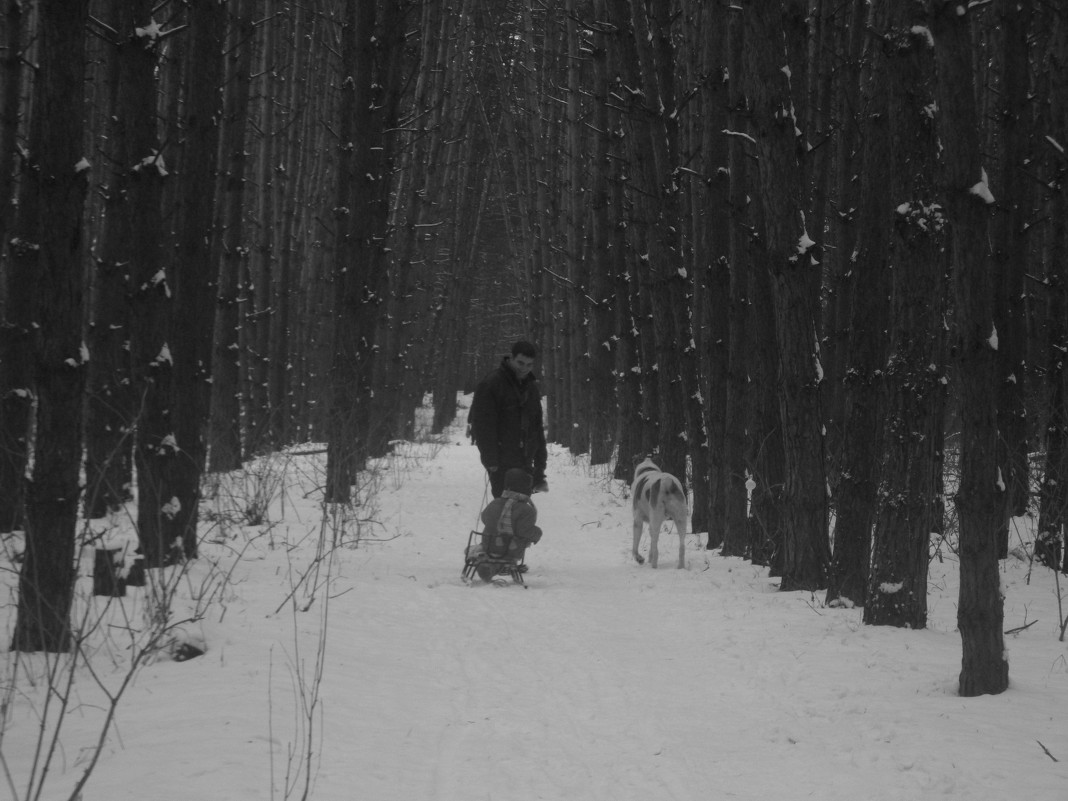 In the forest. - Алена Дробязко 