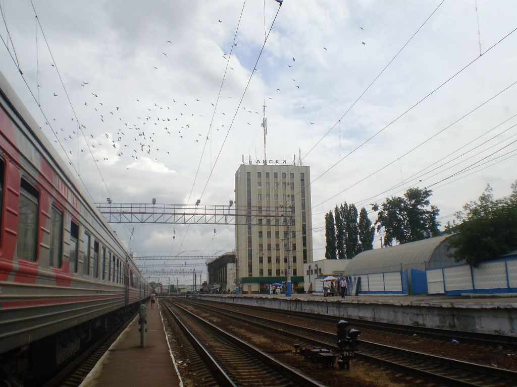 Лиски - Наталья Абрамова