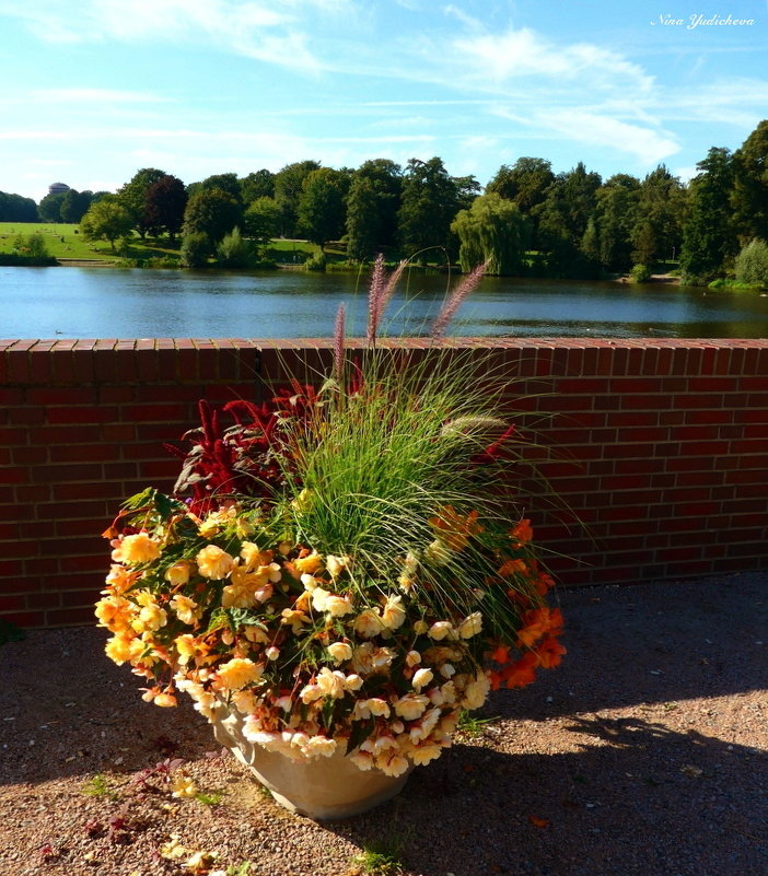 Hamburg. Stadtpark - Nina Yudicheva