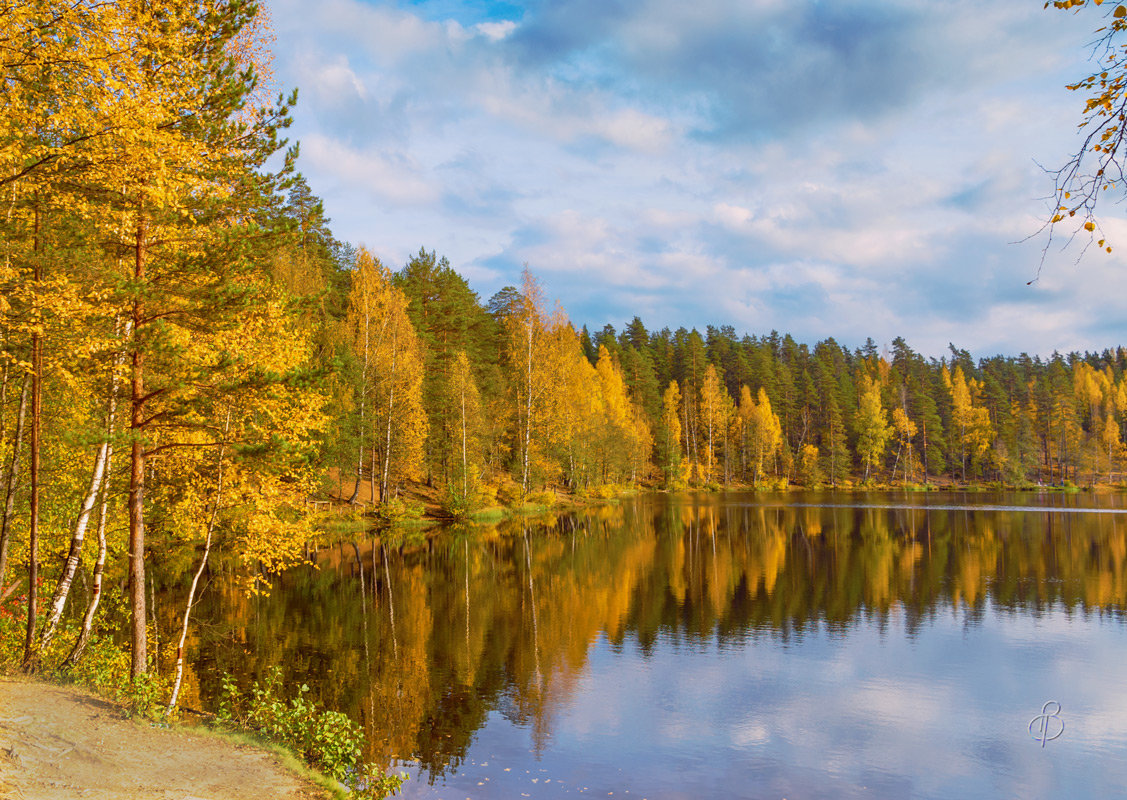 Осень на лесном озере - Виталий 