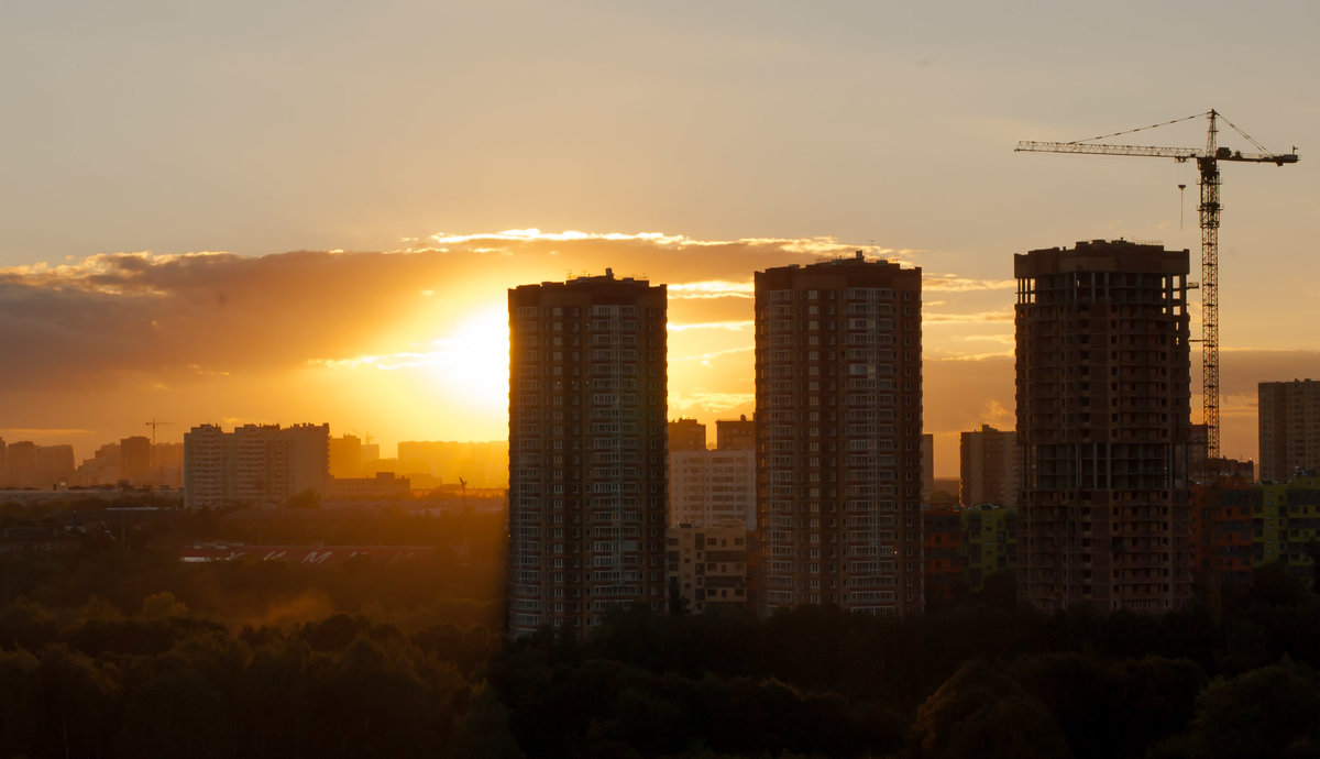 Город засыпает - Елена Яшнева